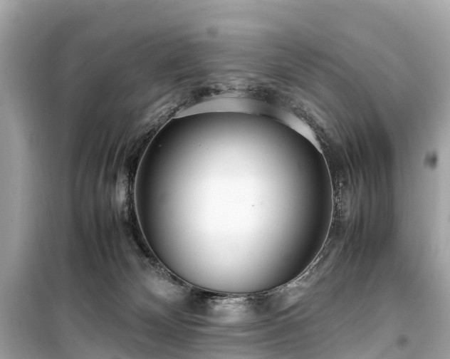 X0000099430132200805161119
