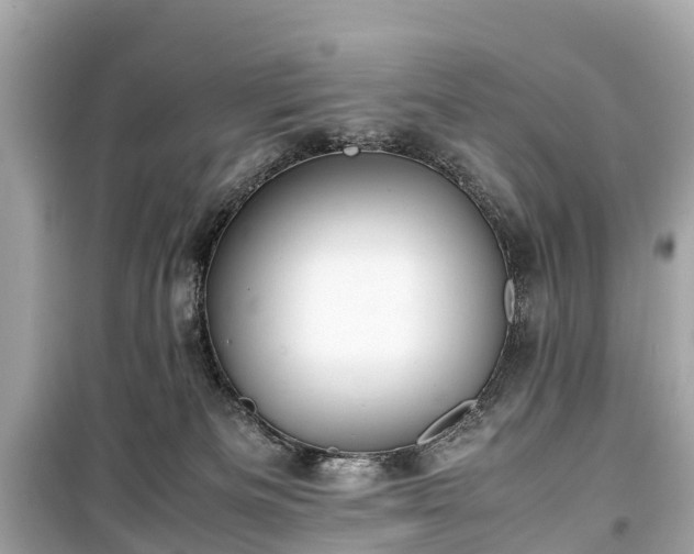 X0000099430133200805161119