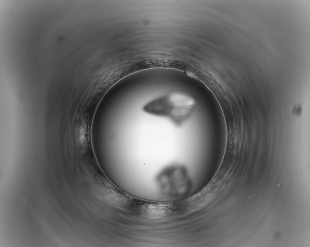 X0000099430134200805161119