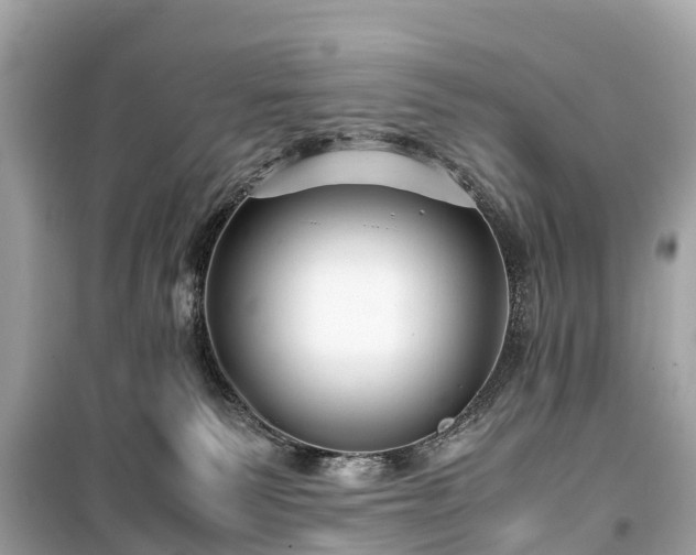 X0000099430135200805161119