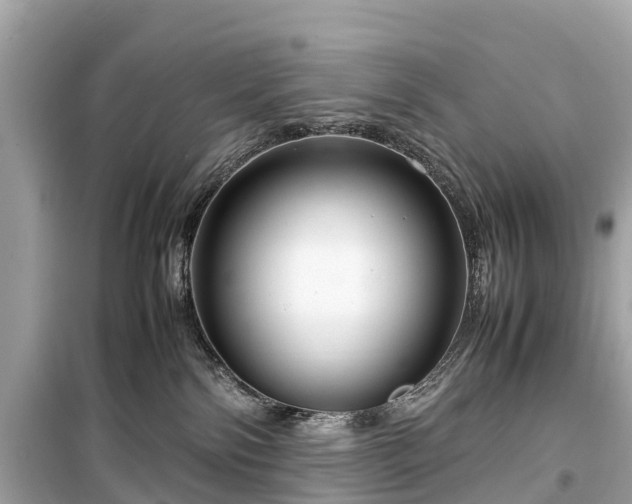 X0000099430138200805161119