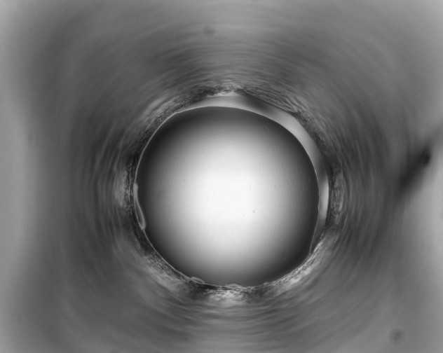 X0000099430140200805161119