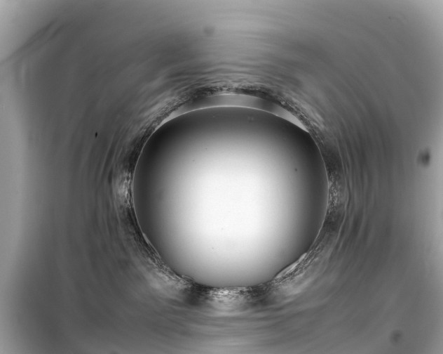 X0000099430141200805161119