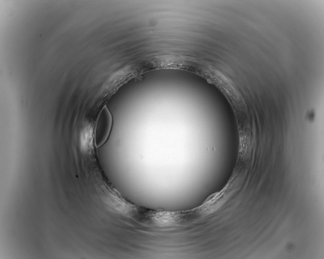 X0000099430142200805161119