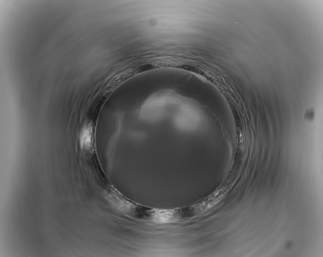 X0000099430143200805161119