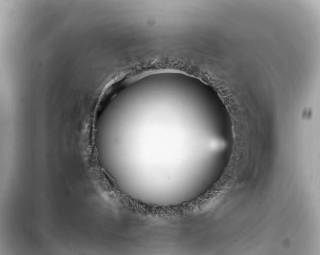 X0000099430144200805161119