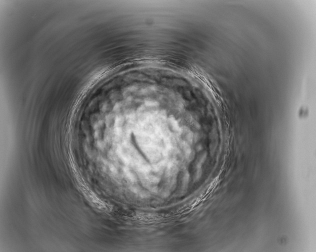X0000099430145200805161118