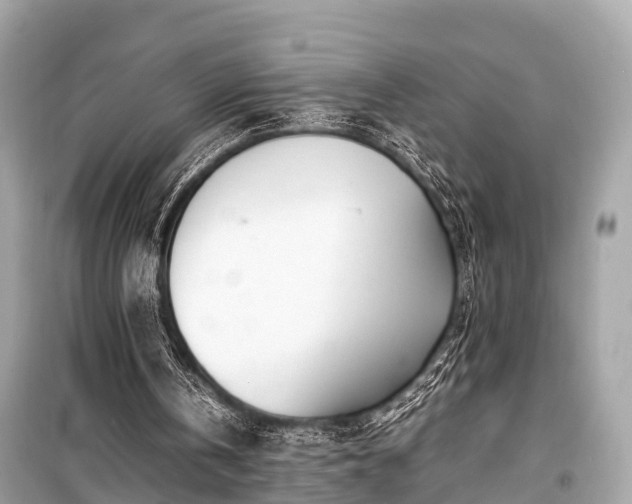 X0000099430146200805161118