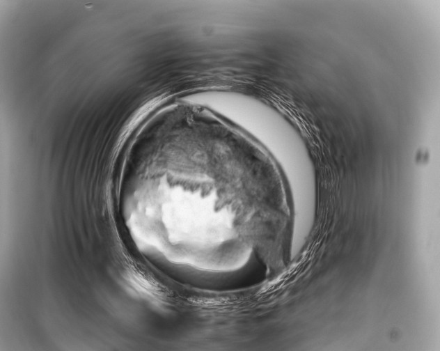 X0000099430147200805161118