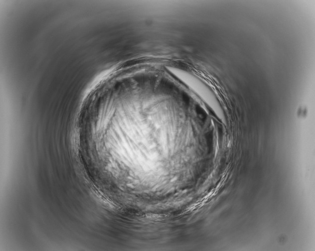 X0000099430149200805161118