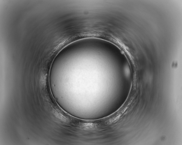 X0000099430153200805161118