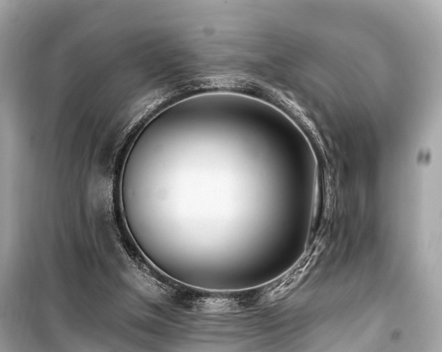 X0000099430154200805161118