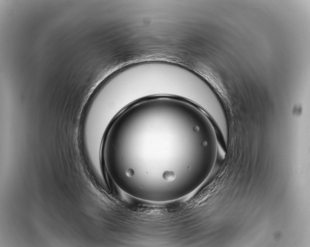 X0000099430156200805161118