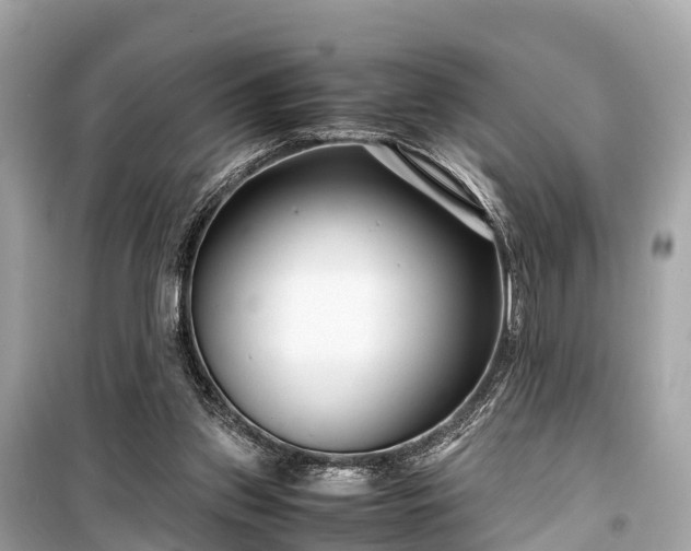 X0000099430157200805161118