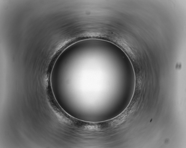 X0000099430160200805161118