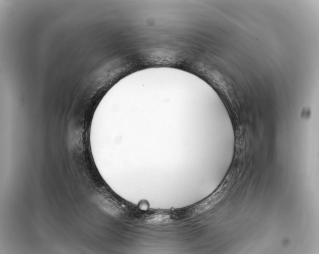 X0000099430162200805161119