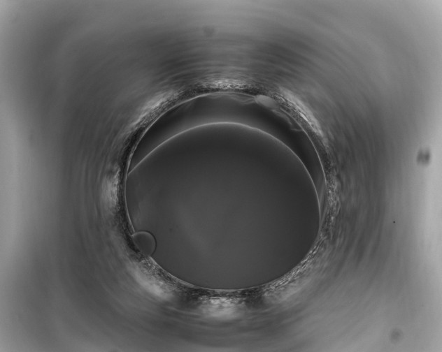 X0000099430163200805161119
