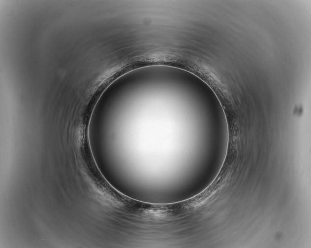 X0000099430164200805161119