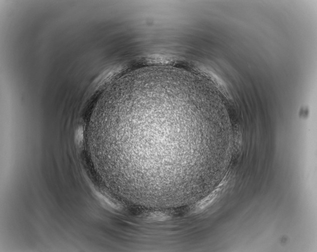 X0000099430166200805161119