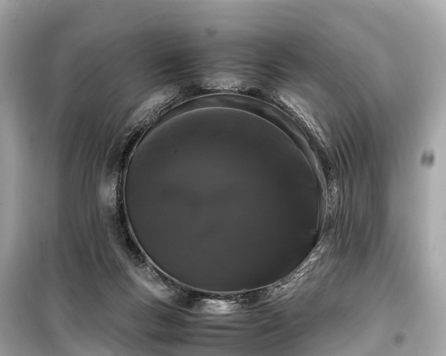 X0000099430167200805161119