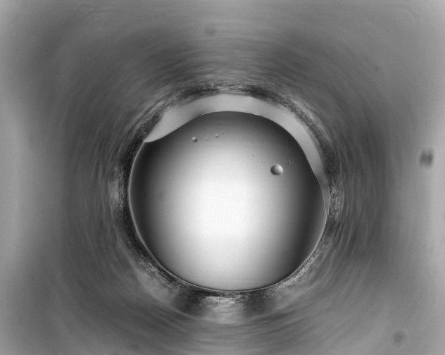 X0000099430170200805161119