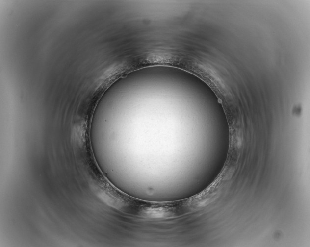 X0000099430171200805161119