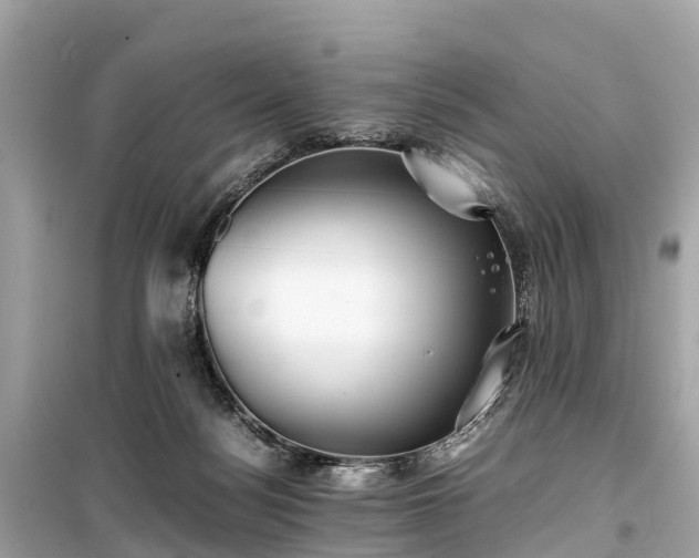 X0000099430172200805161119