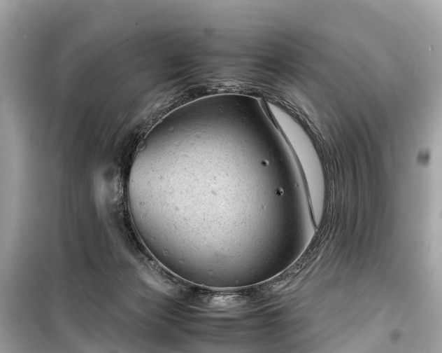 X0000099430173200805161119