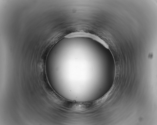 X0000099430174200805161119
