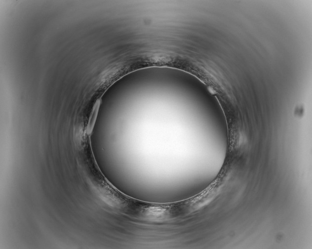 X0000099430176200805161119