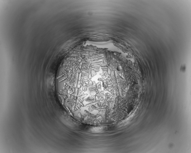 X0000099430178200805161119