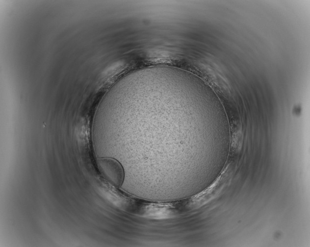 X0000099430179200805161119