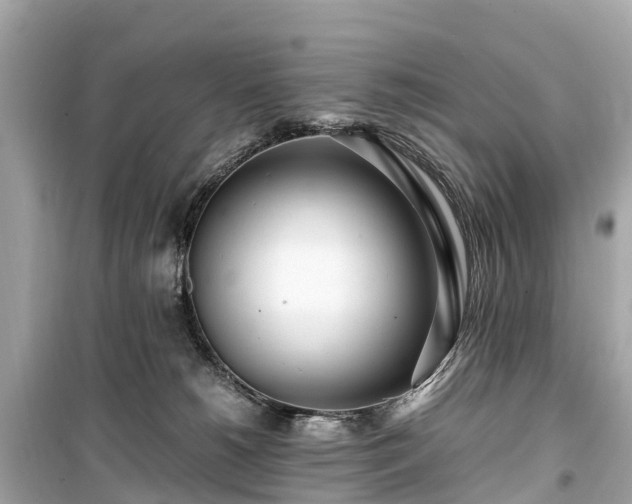 X0000099430180200805161119
