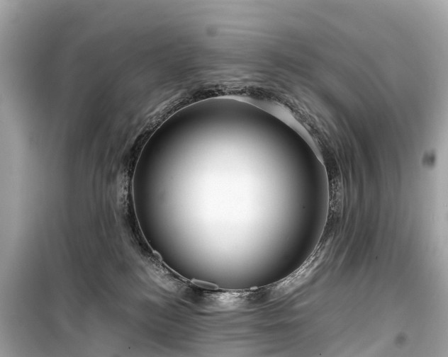 X0000099430184200805161119