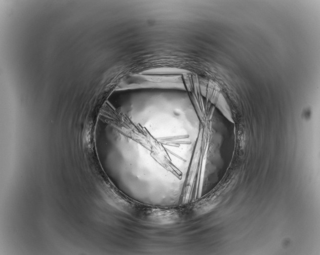 X0000099430185200805161119