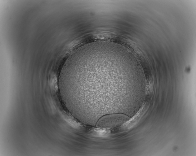 X0000099430187200805161119