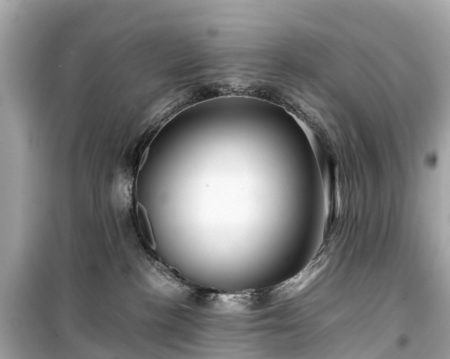 X0000099430188200805161119