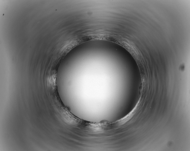 X0000099430190200805161119