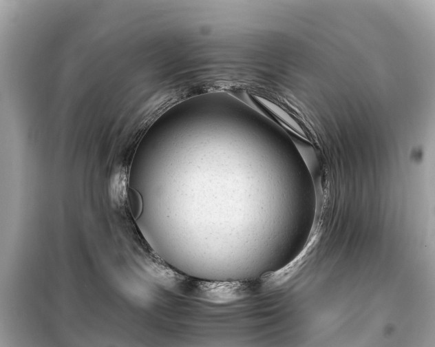 X0000099430191200805161119