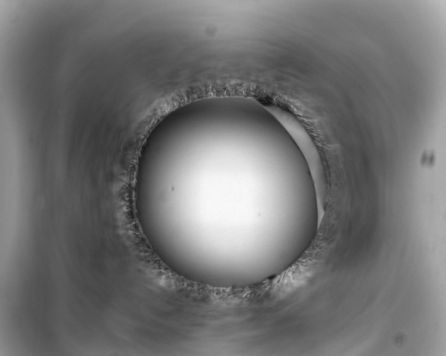 X0000099430192200805161119