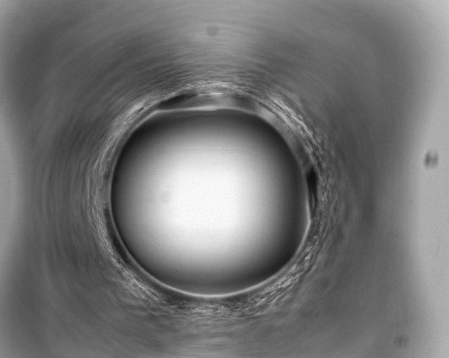 X0000099430193200805161118