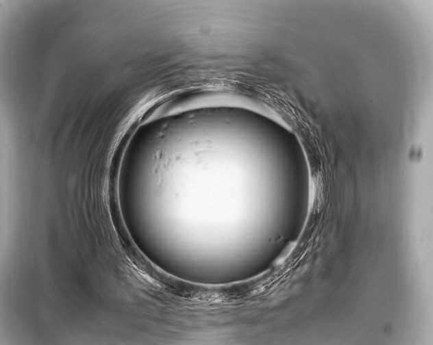 X0000099430195200805161118