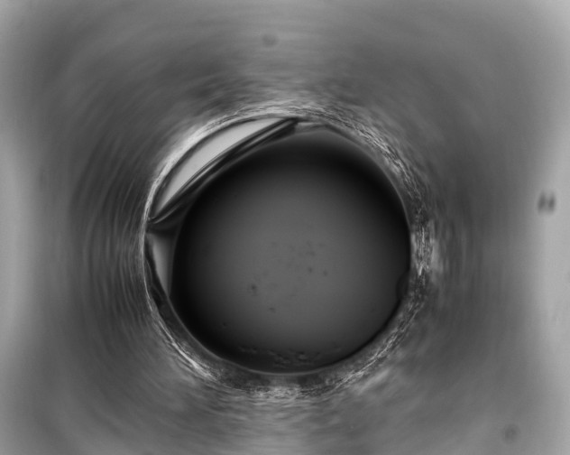 X0000099430196200805161118