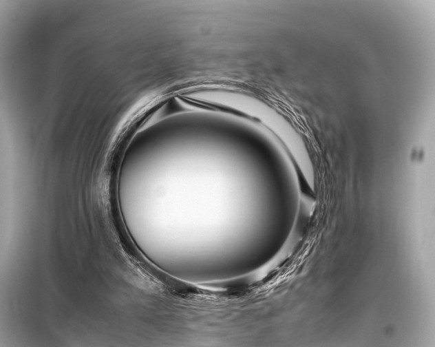 X0000099430197200805161118