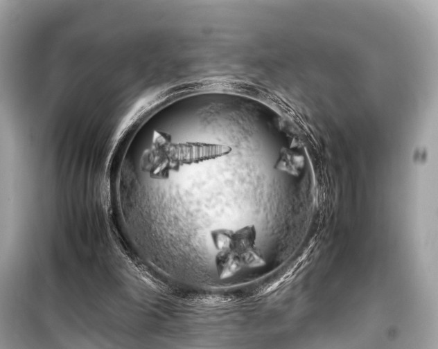 X0000099430198200805161118