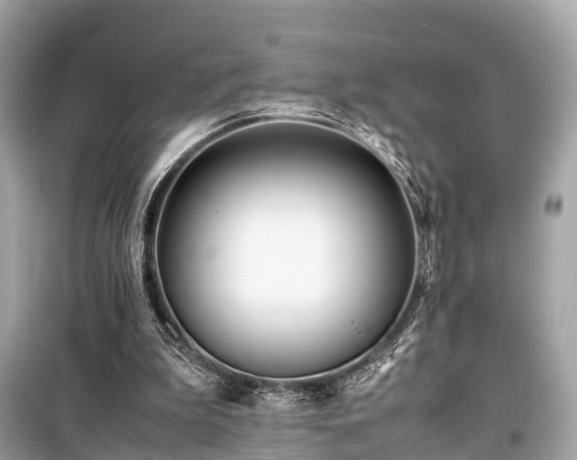 X0000099430199200805161118