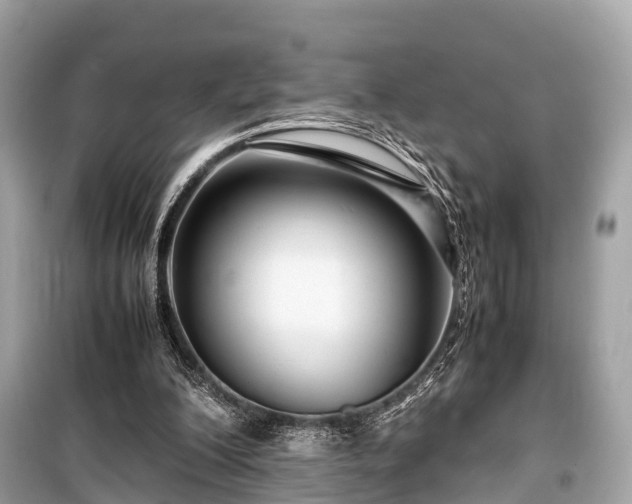X0000099430200200805161118