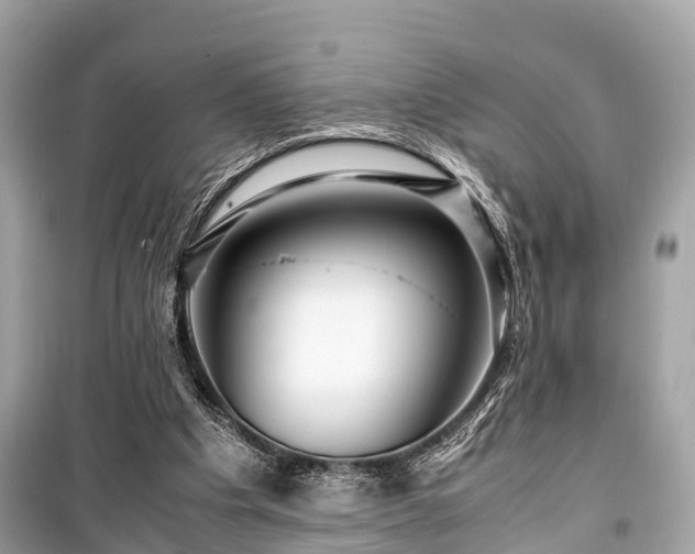 X0000099430201200805161118