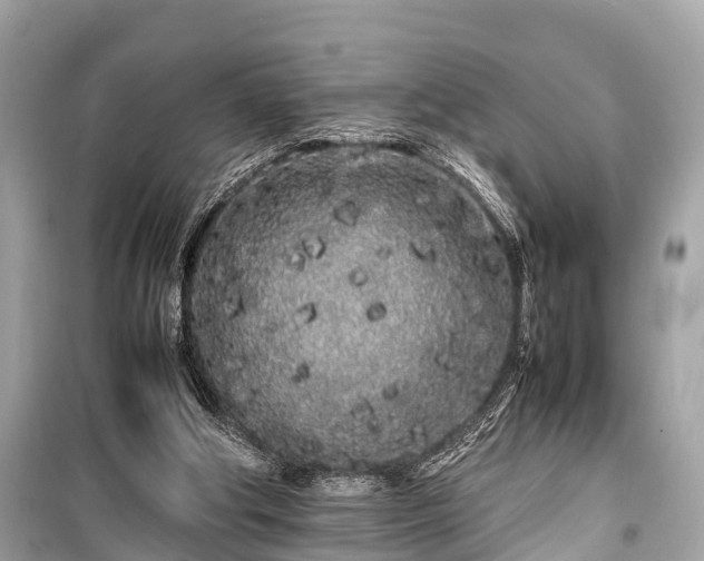 X0000099430202200805161118