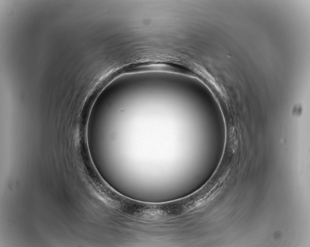 X0000099430203200805161118